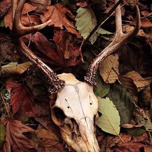 Meet your Posher, Aaron